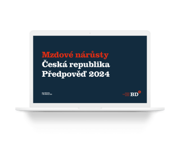 Mzdové nárůsty: Předpověď 2024